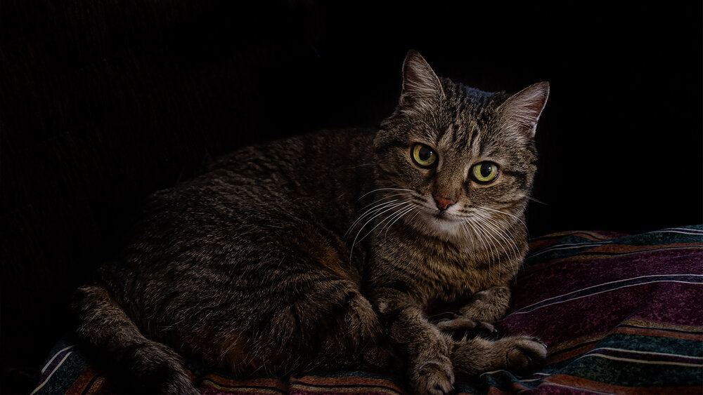 Photograph by Гришанов Пётр