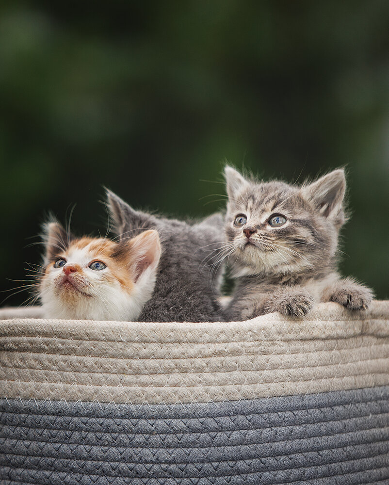 Photograph by Елена Самусенкова