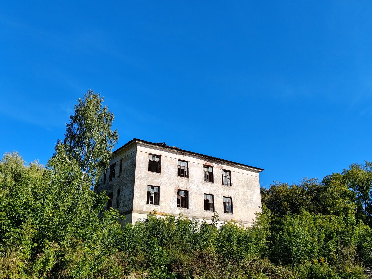 Photo #14045227