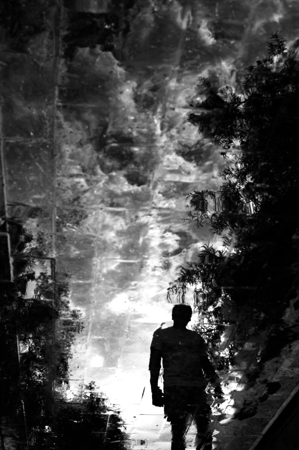 Photo #14045253