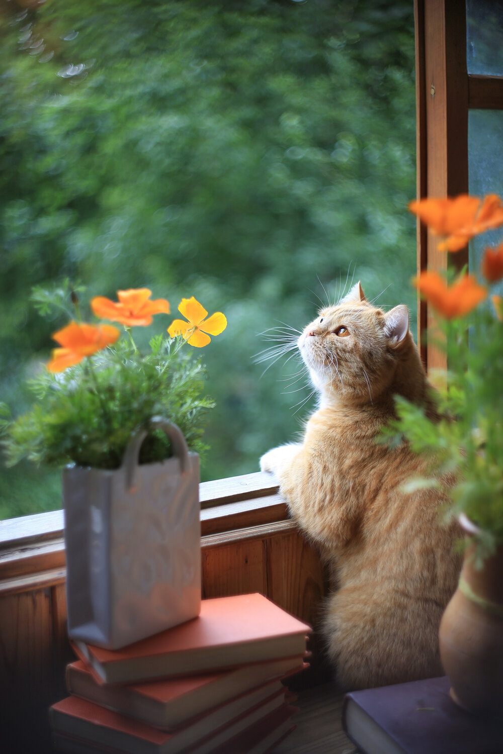 Photo #14045256