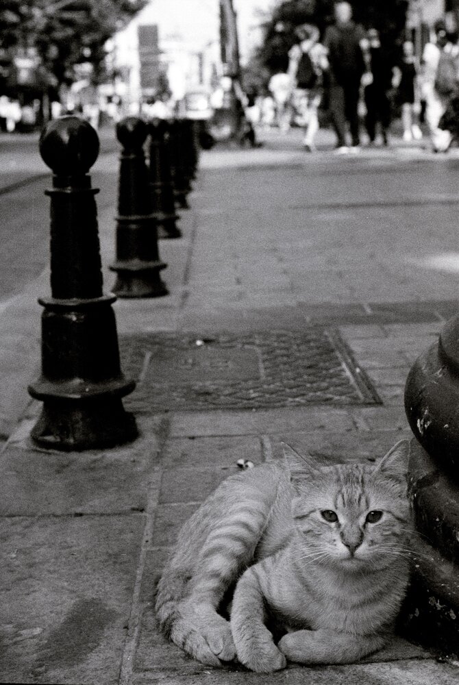 Photograph by Dima Maltsev