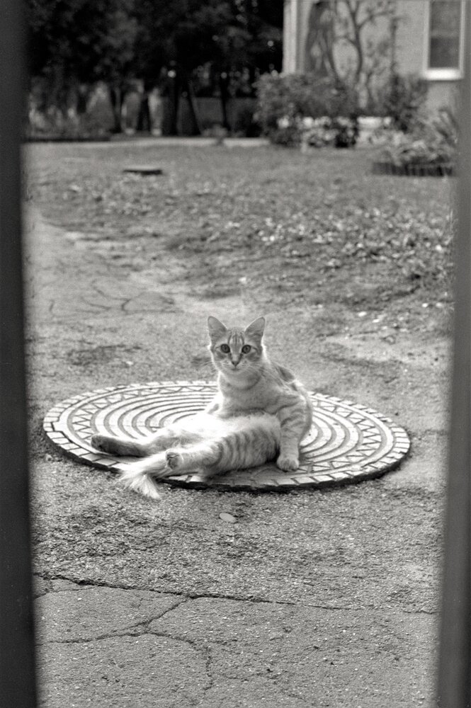 Photograph by Dima Maltsev