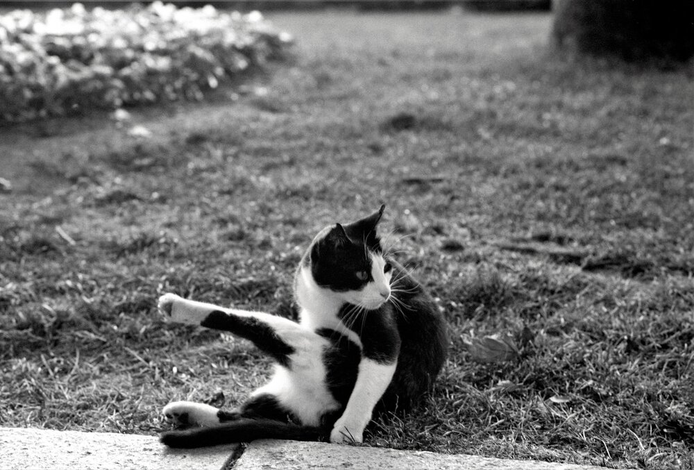 Photograph by Dima Maltsev