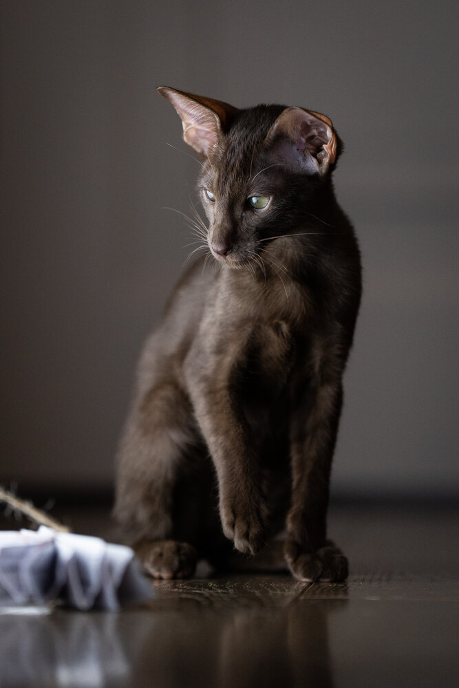Photograph by Светлана