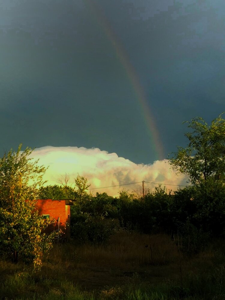 Photograph by Елена Оборник
