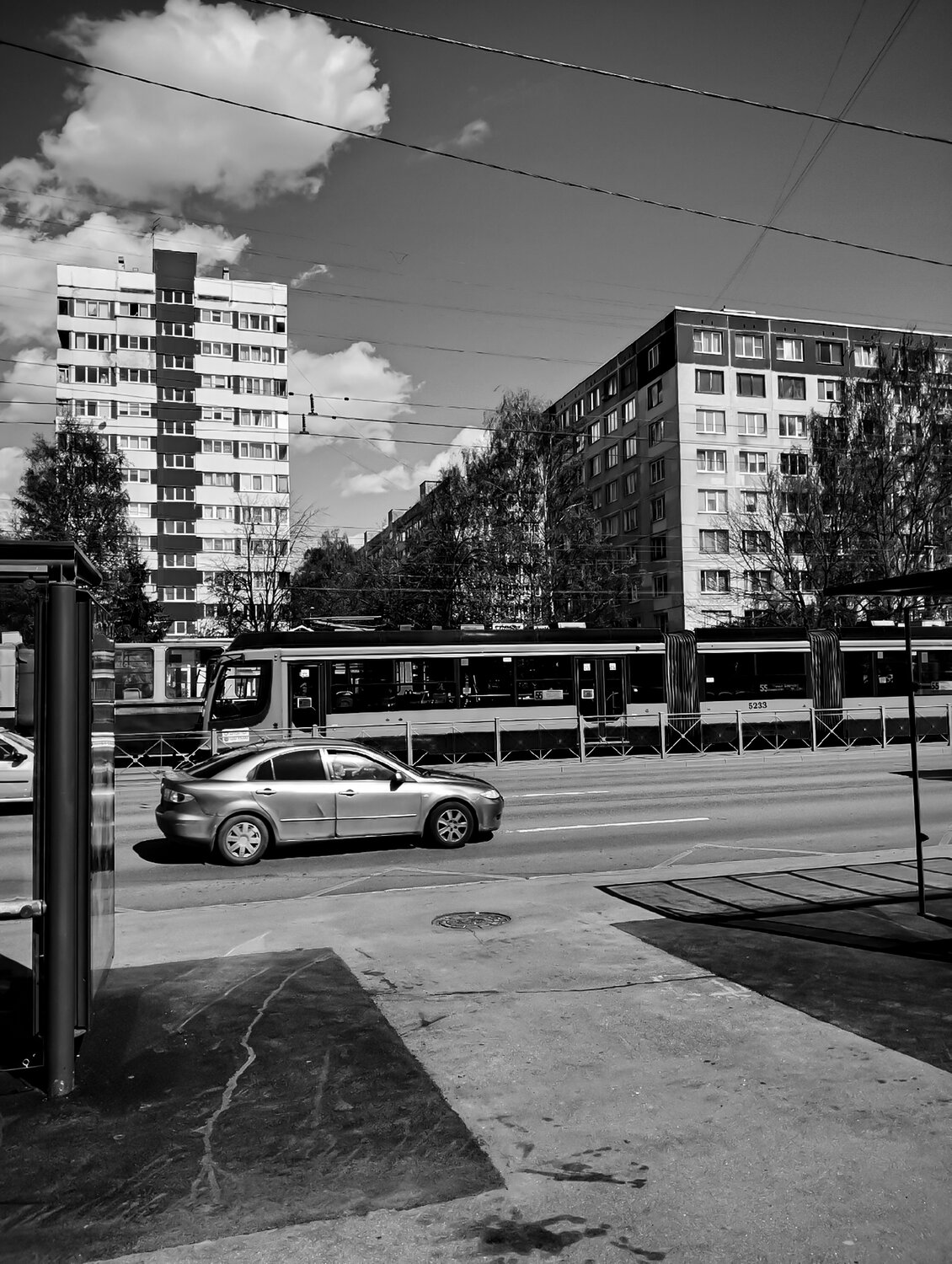 Photo #14045478