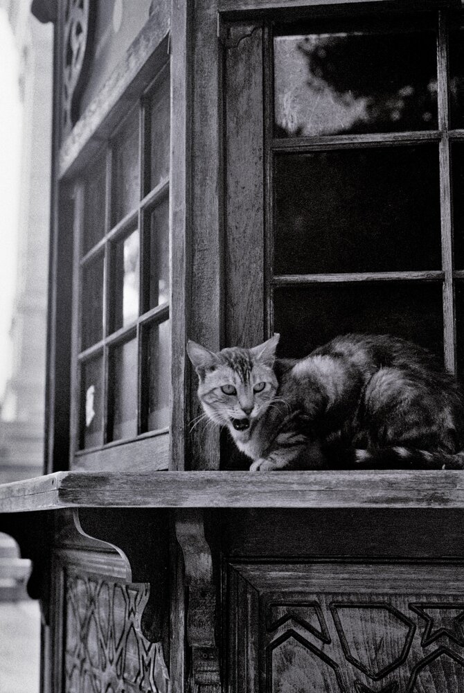 Photograph by Dima Maltsev