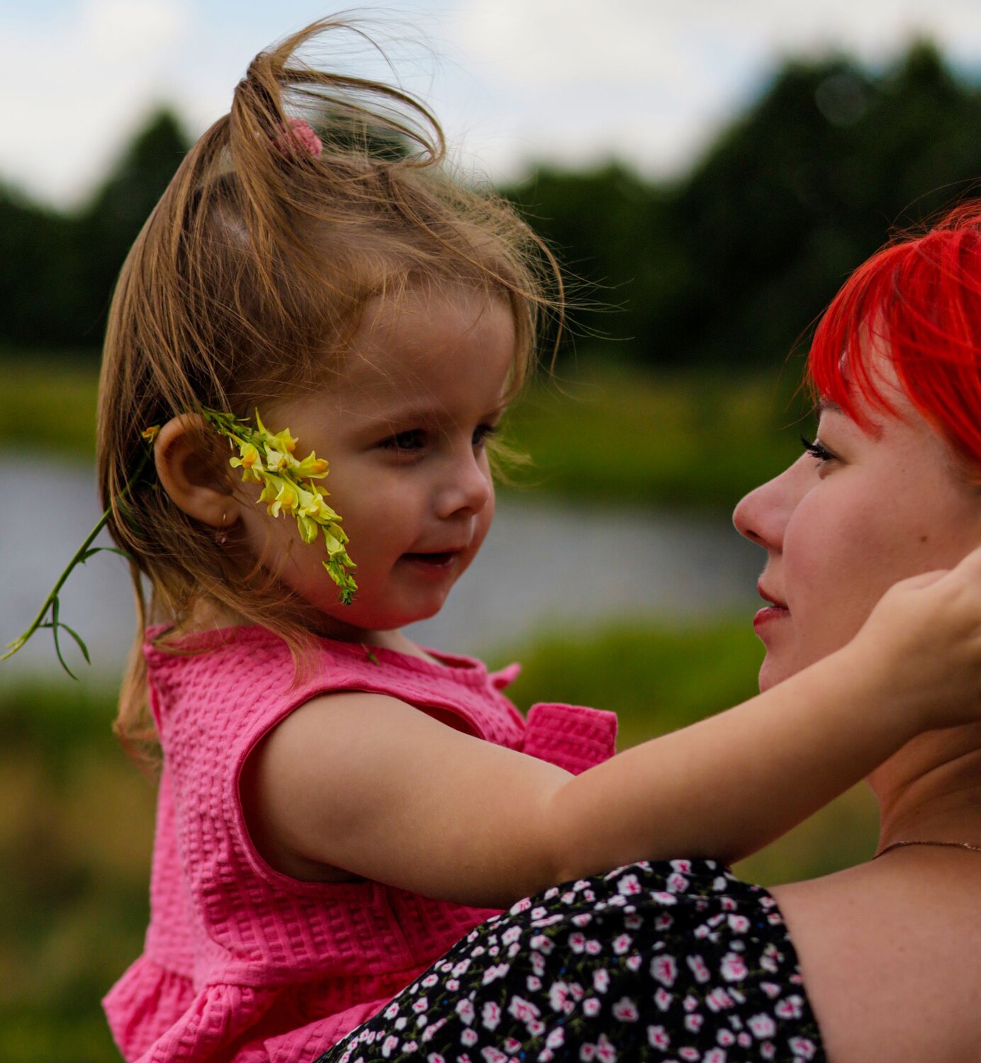 Photo #14045500
