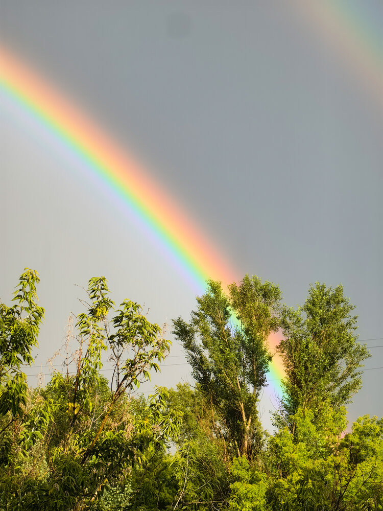 Photograph by Татьяна Емельянова