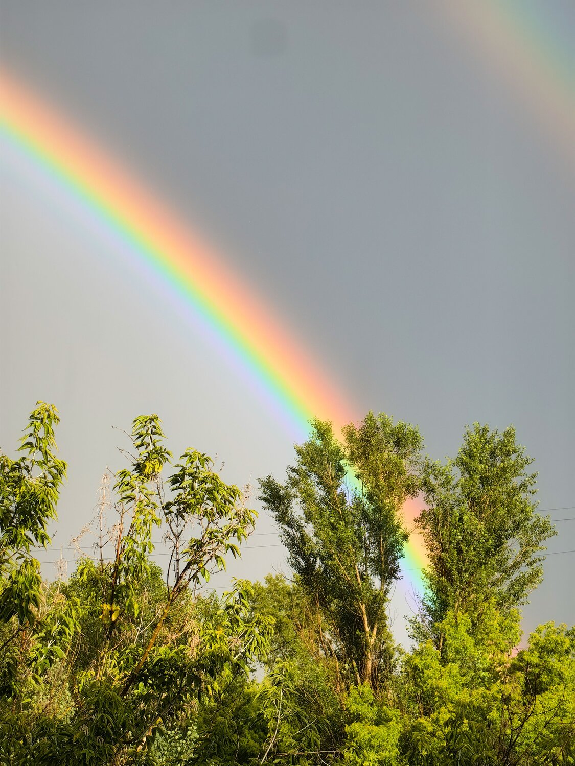 Photo #14045585