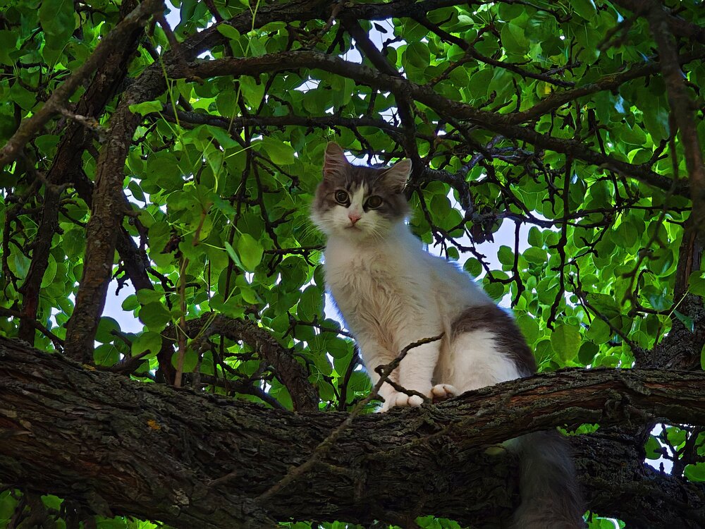 Photograph by Мария Широких