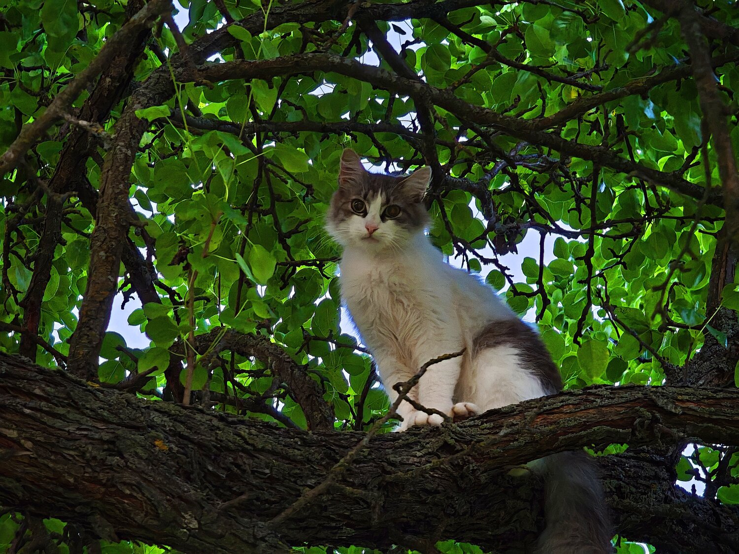 Photo #14045622