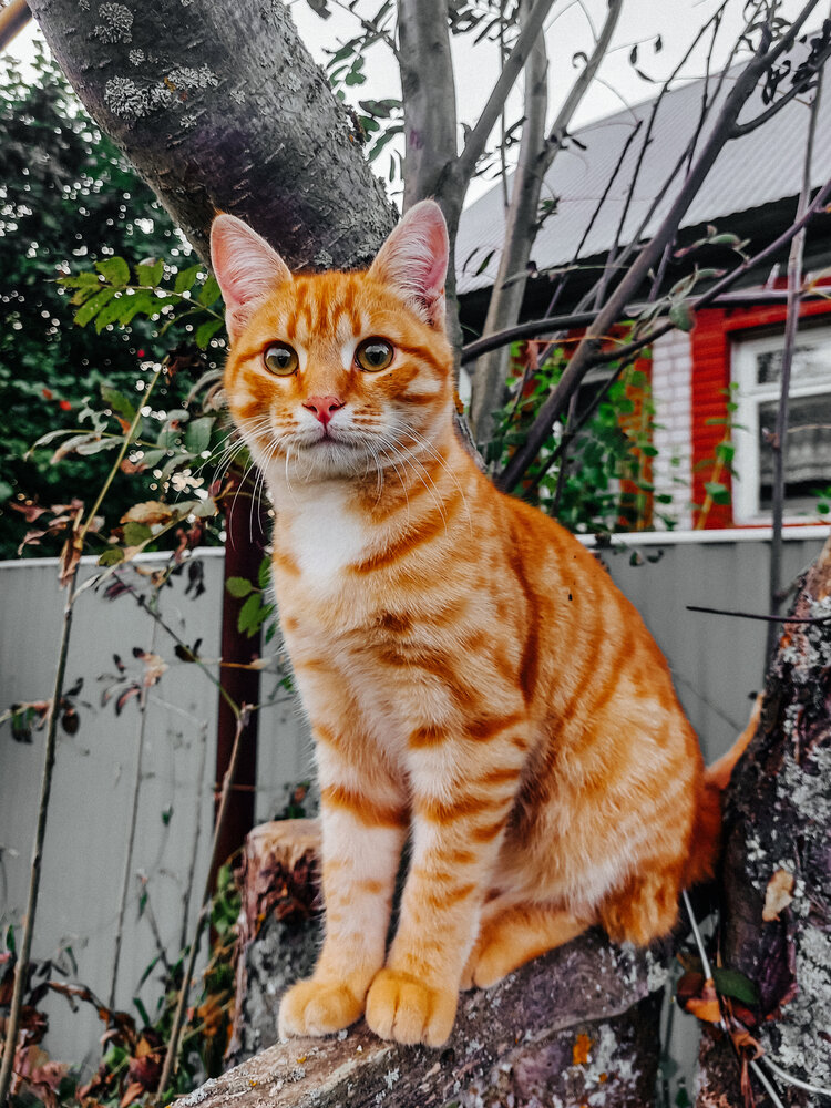 Photograph by Зульфия Вакилова