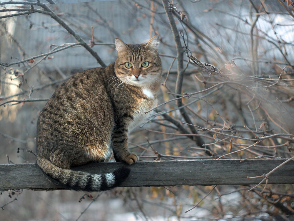 Photograph by Валентина Евсеева