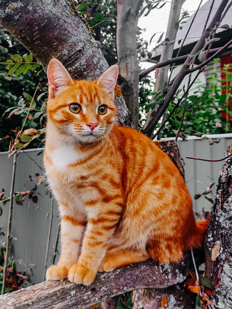 Photograph by Зульфия Вакилова