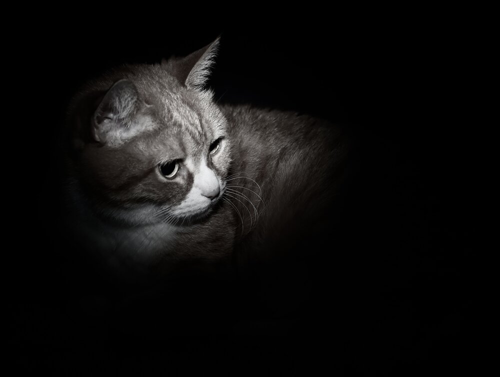 Photograph by Галкина Екатерина