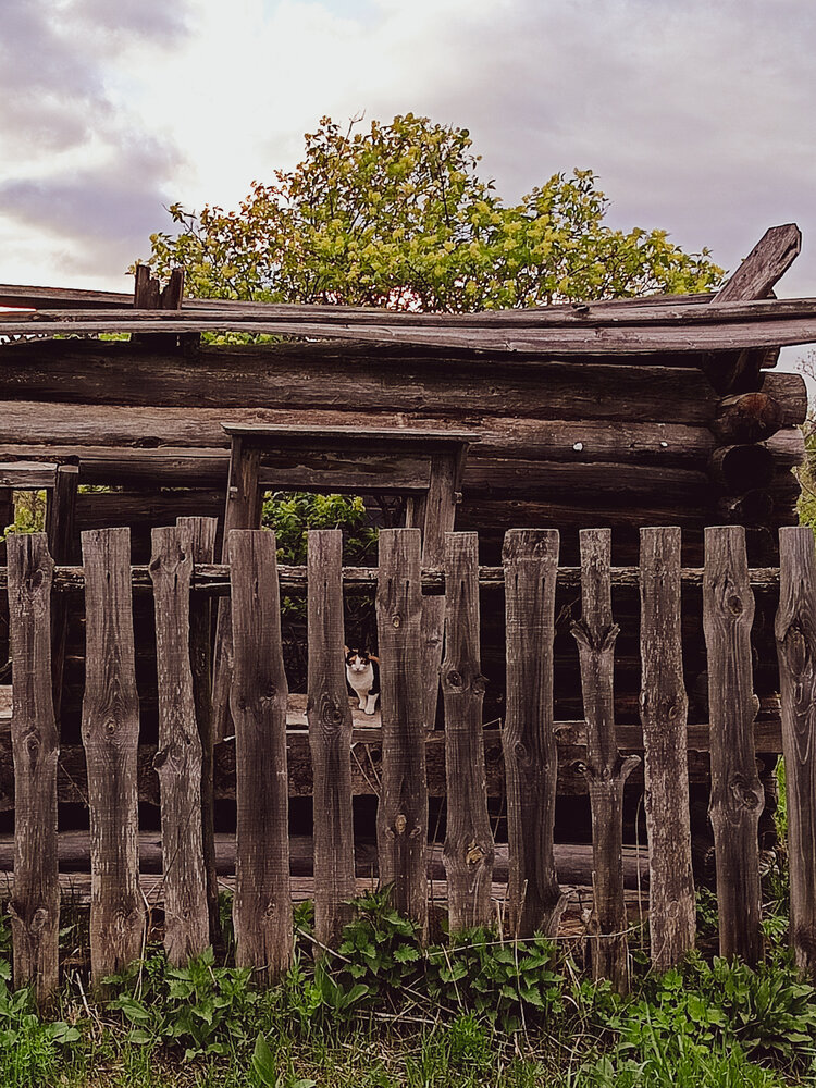 Photograph by Зульфия Вакилова