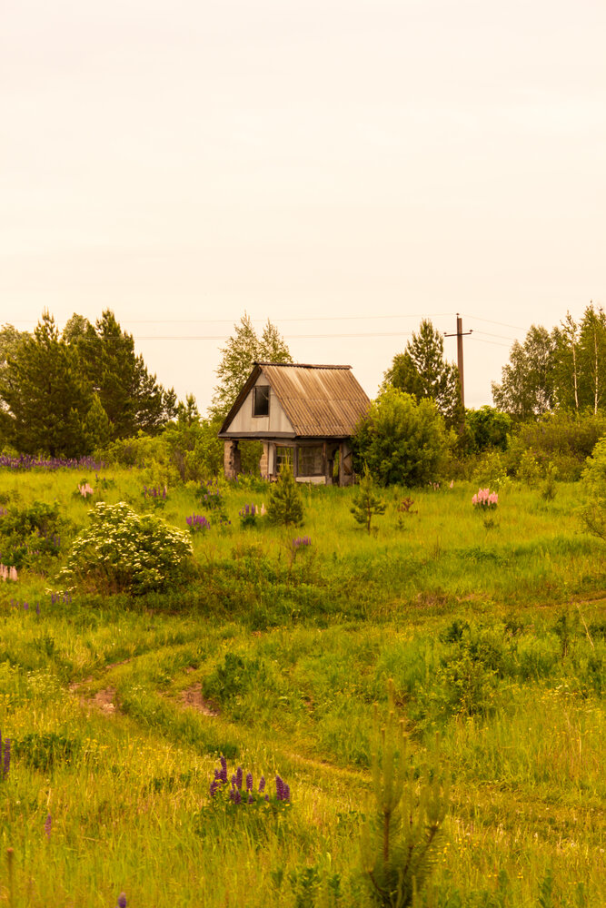 Photograph by Зульфия Вакилова