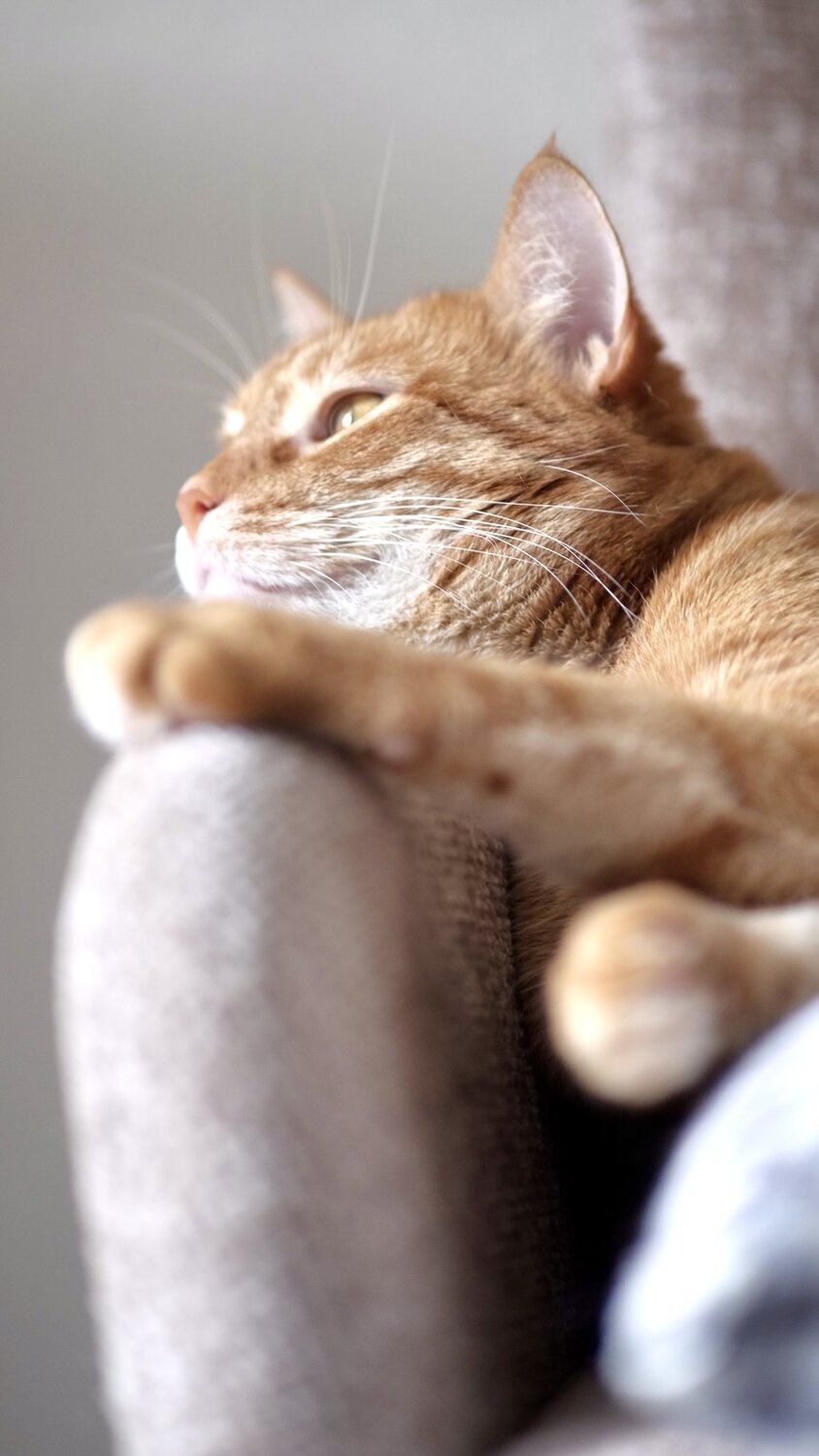 Photo #14045716