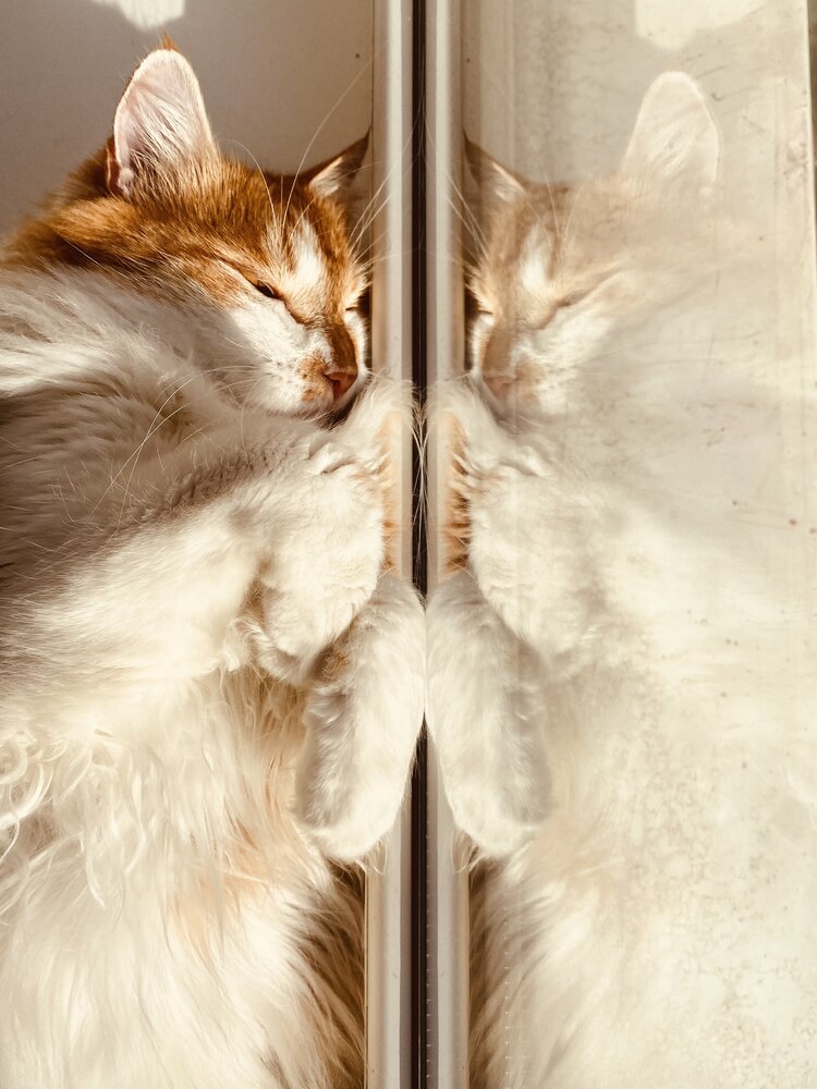 Photograph by Мария Якубовская