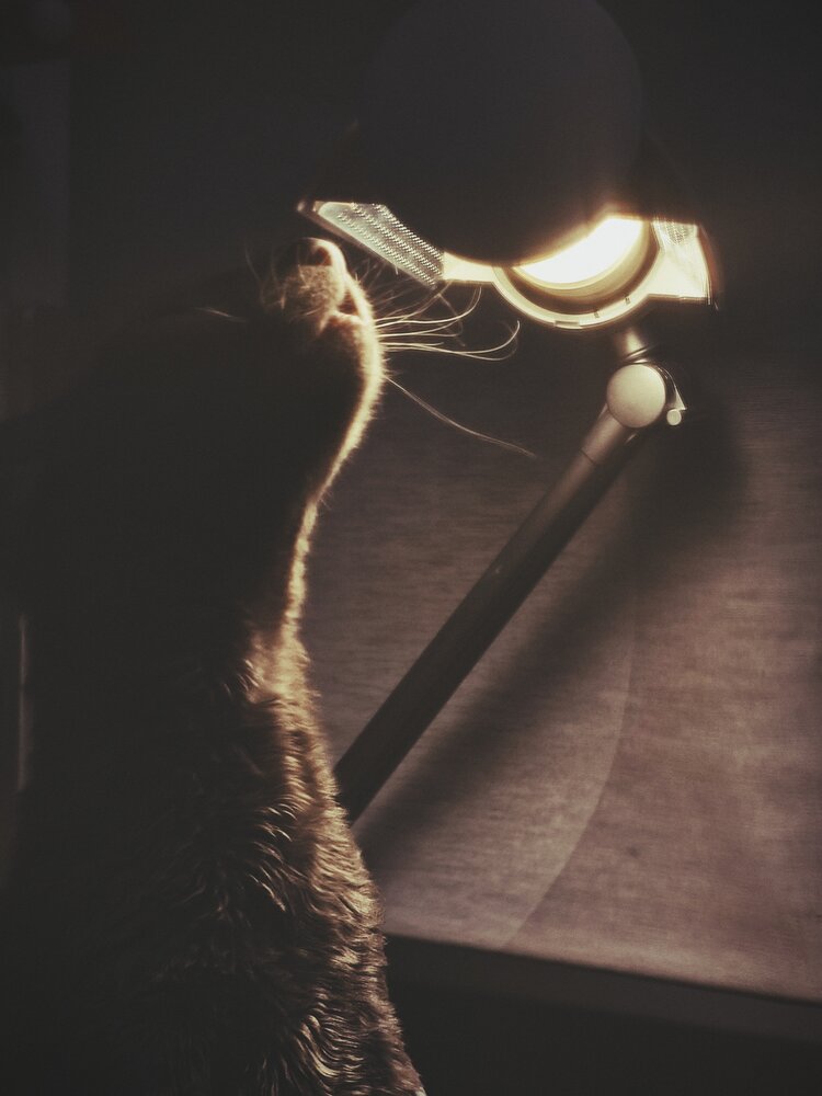 Photograph by Наталья Силантьева