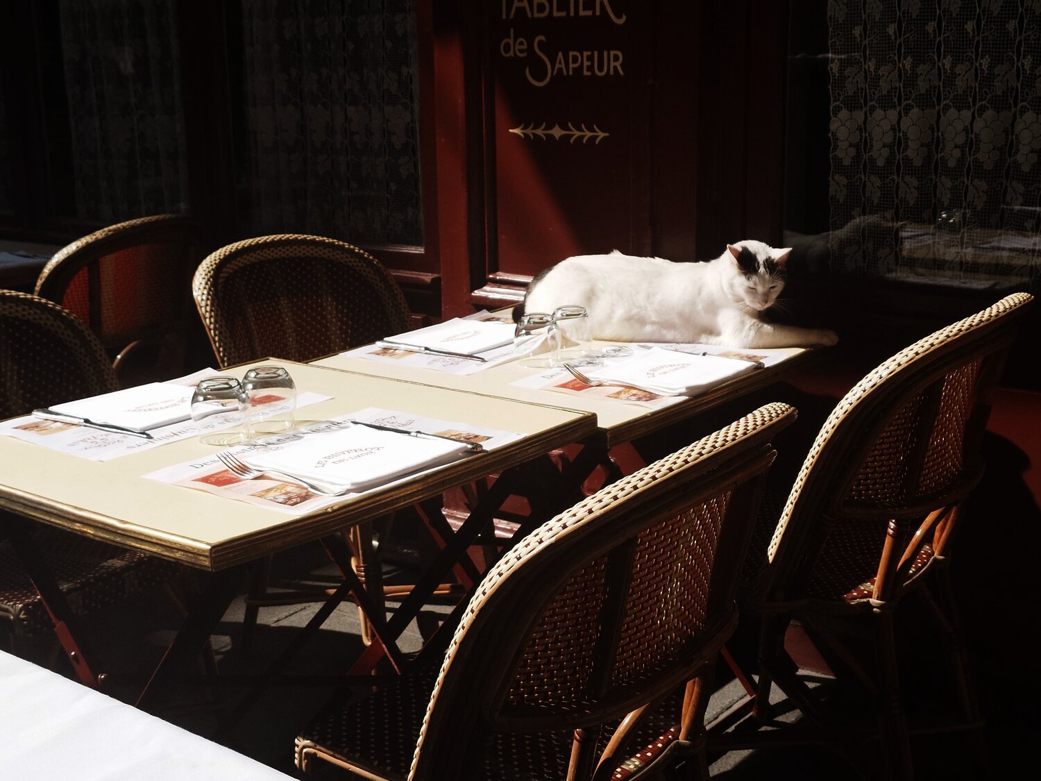 Photo #14045912