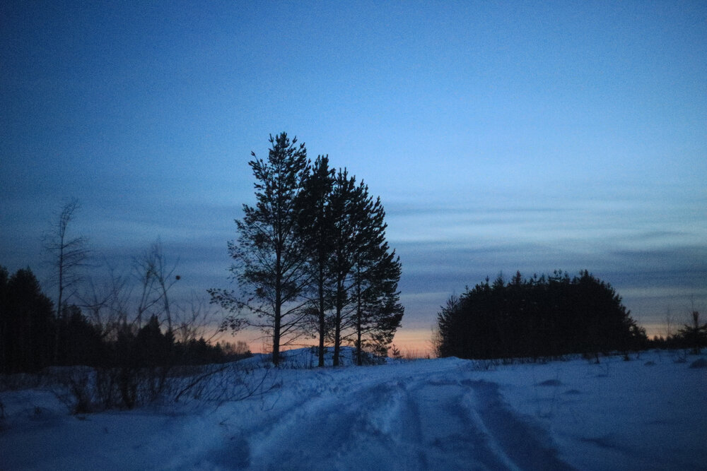 Photograph by Максим Ташкинов
