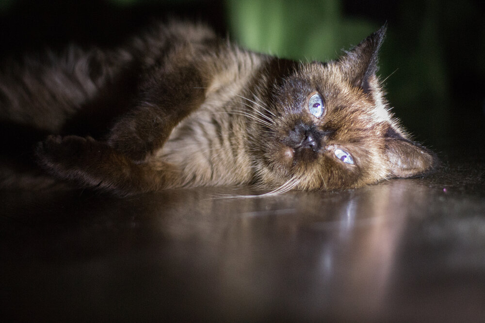 Photograph by Юлия Гетманская