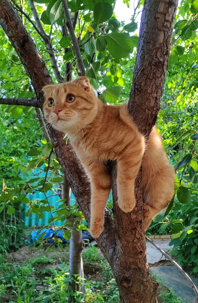 Photograph by Ульяна Кузьмина