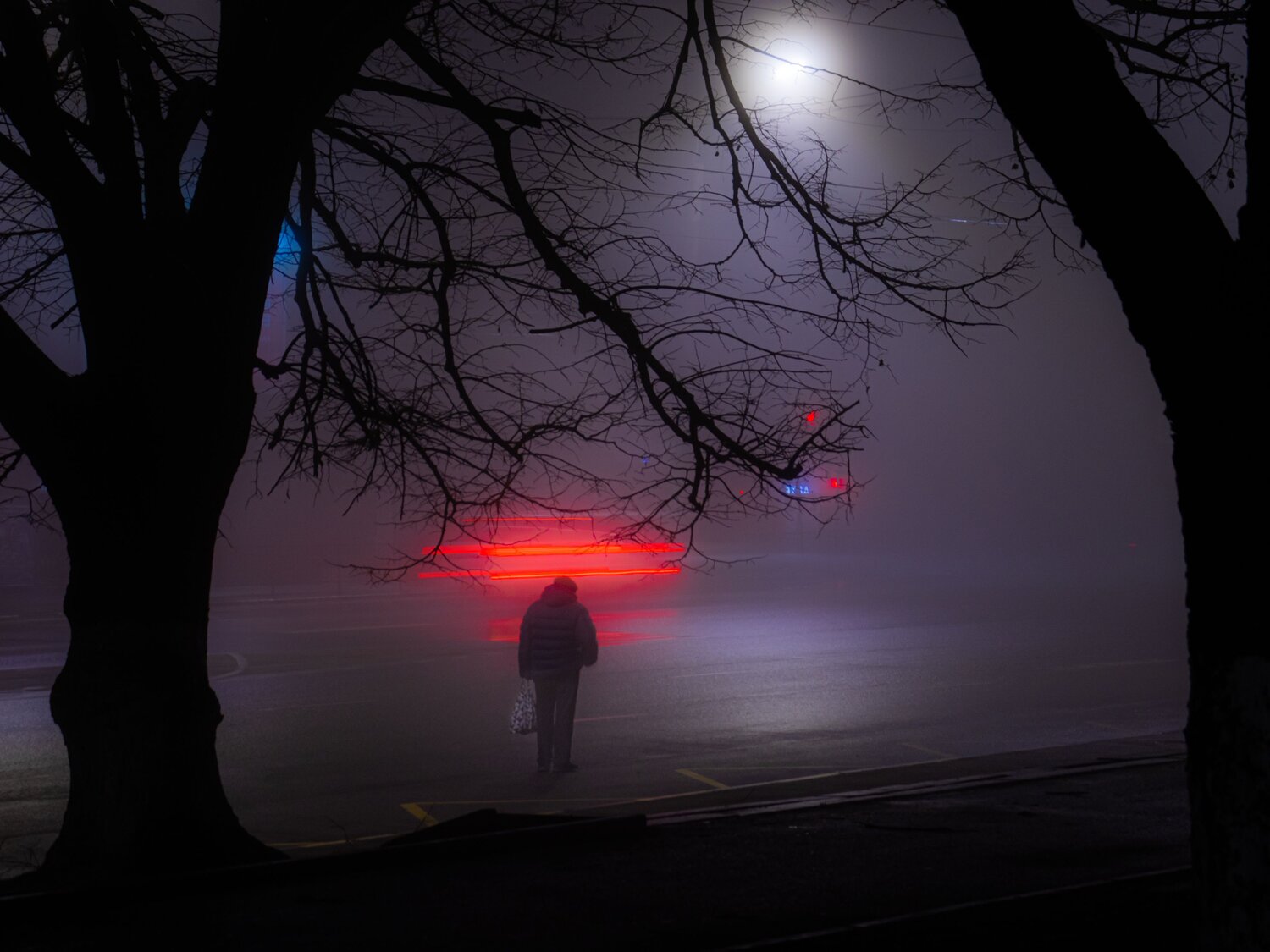 Photo #14045987