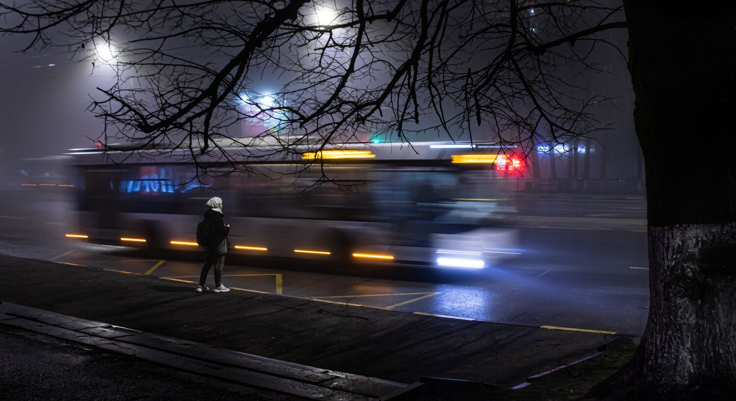 Photo #14045989