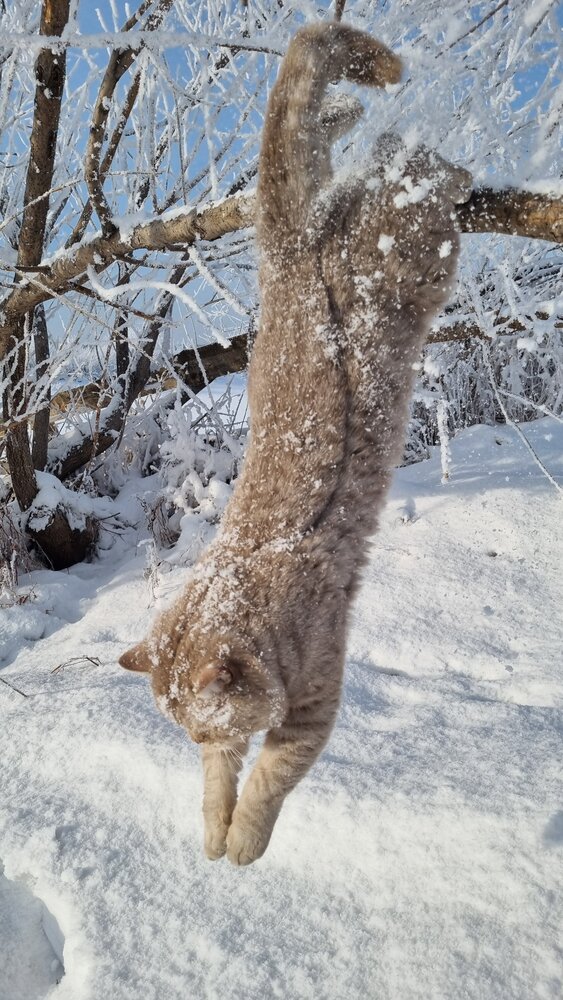 Photograph by Татьяна Устюжанина
