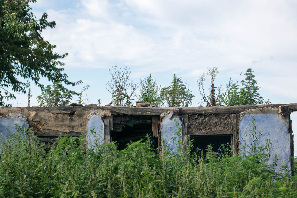 Photograph by Наталья Вялых