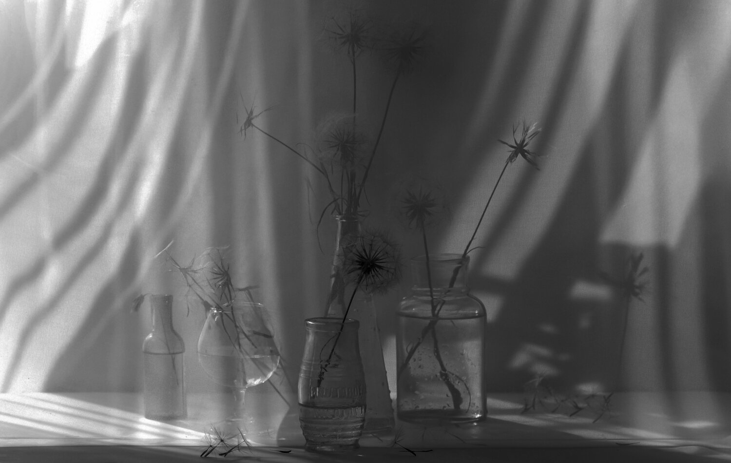 Photo #14046038