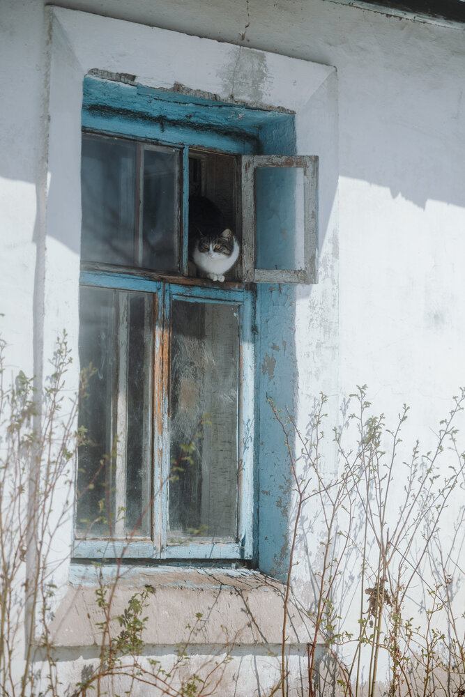 Photograph by Светлана Степашина