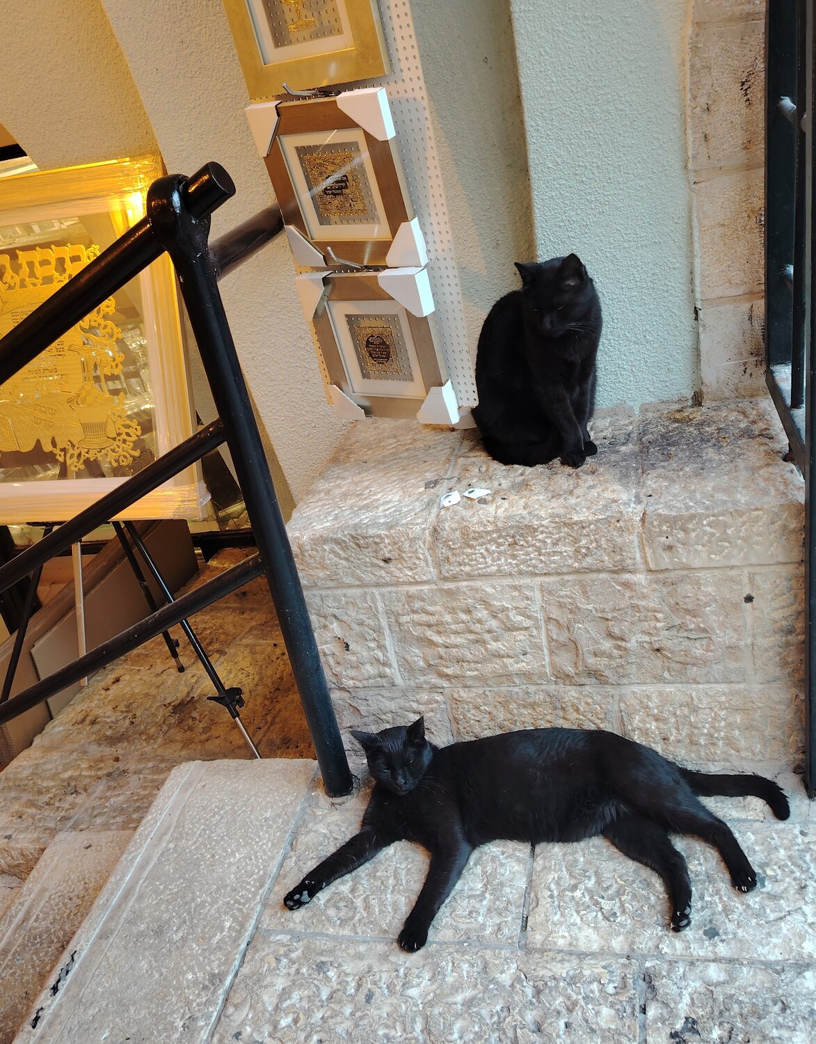 Photo #14046051