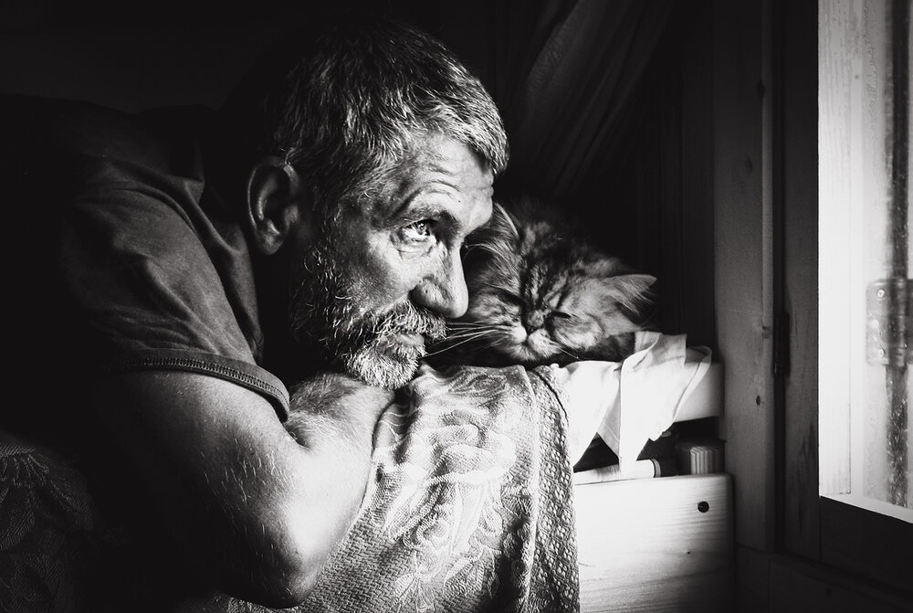 Photograph by Алексей Окунеев
