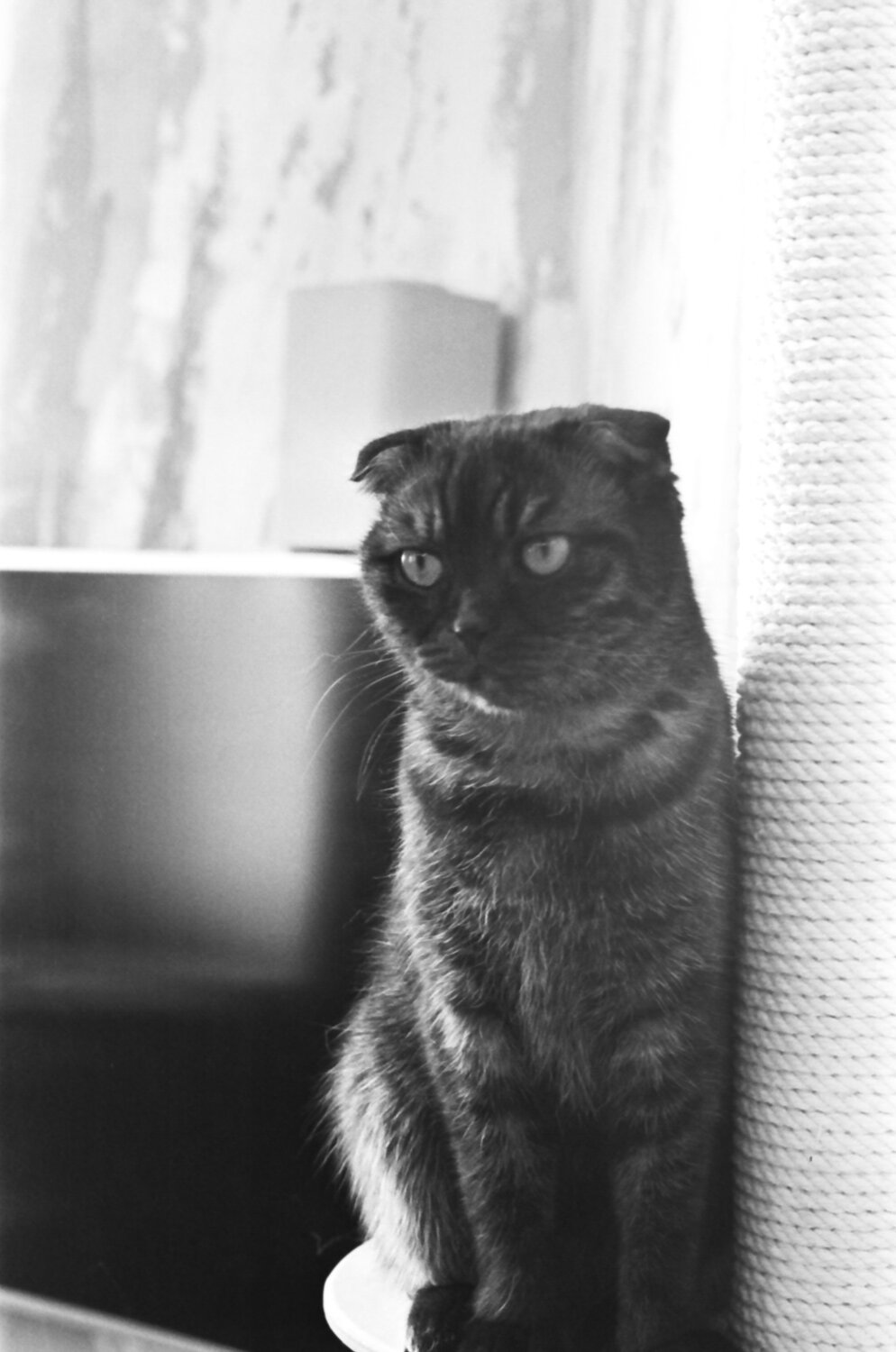 Photo #14046109