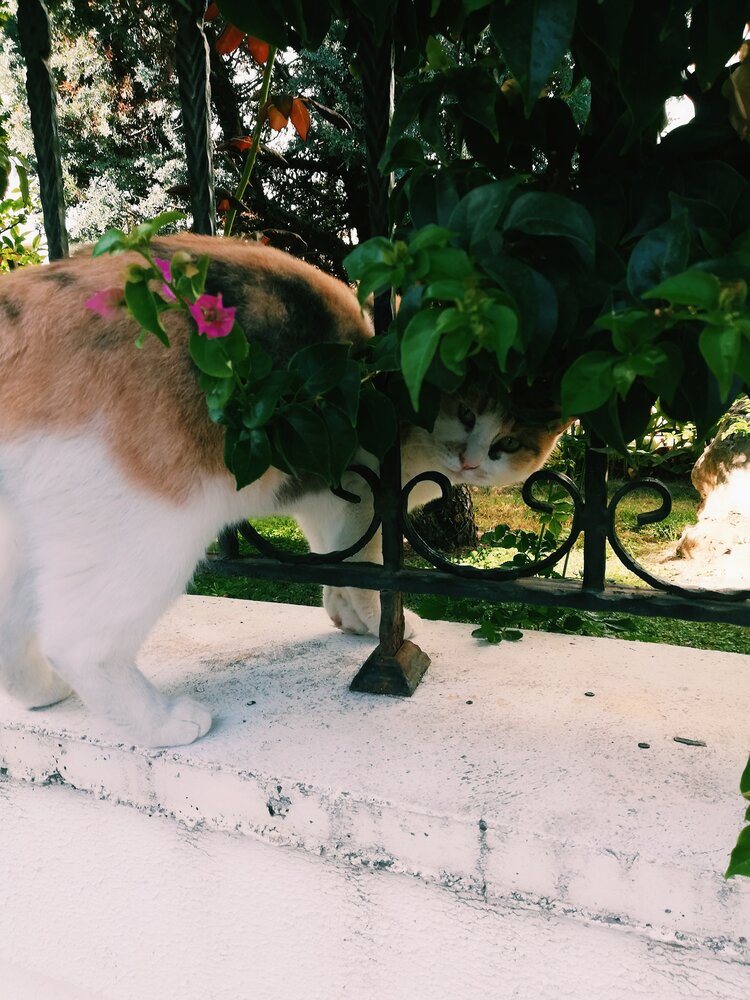 Photograph by Кристина Шацкая