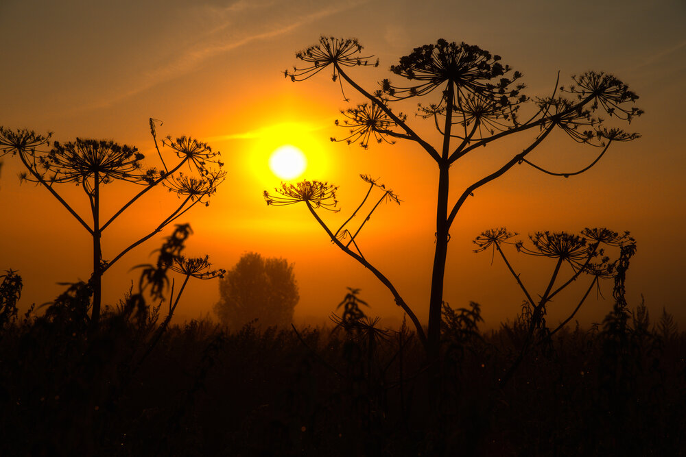 Photograph by Абашкин Сергей