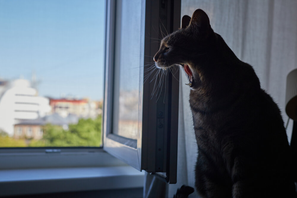Photograph by Дмитрий Горбылёв