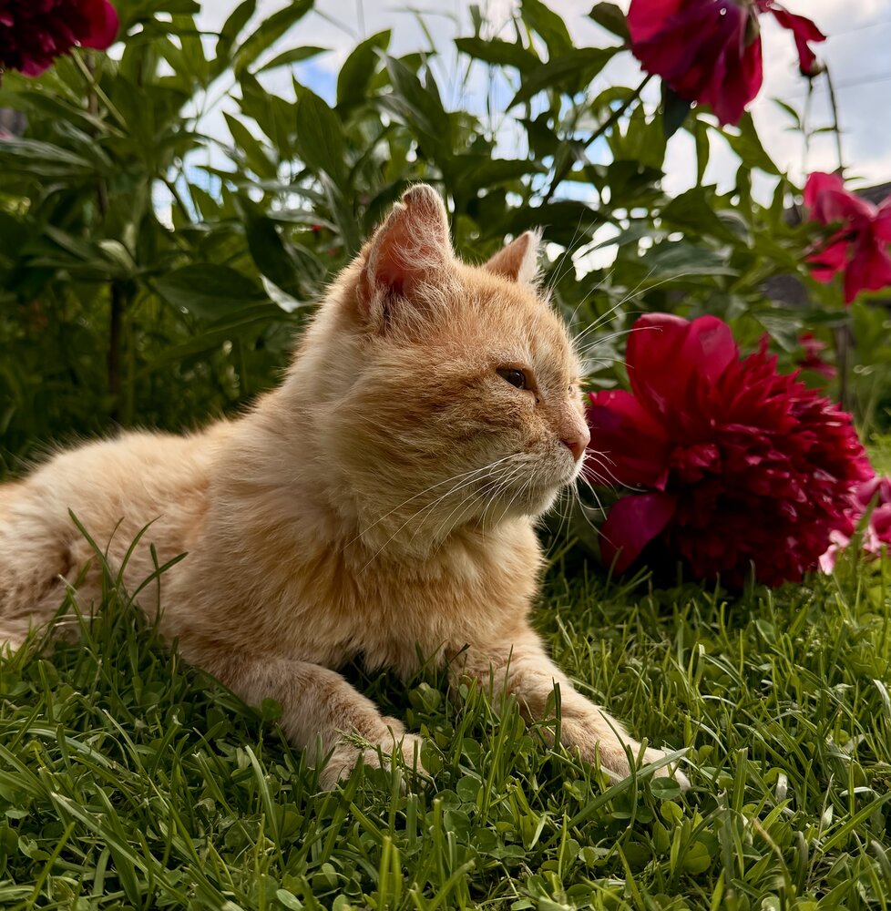 Photograph by Марина Никифорова