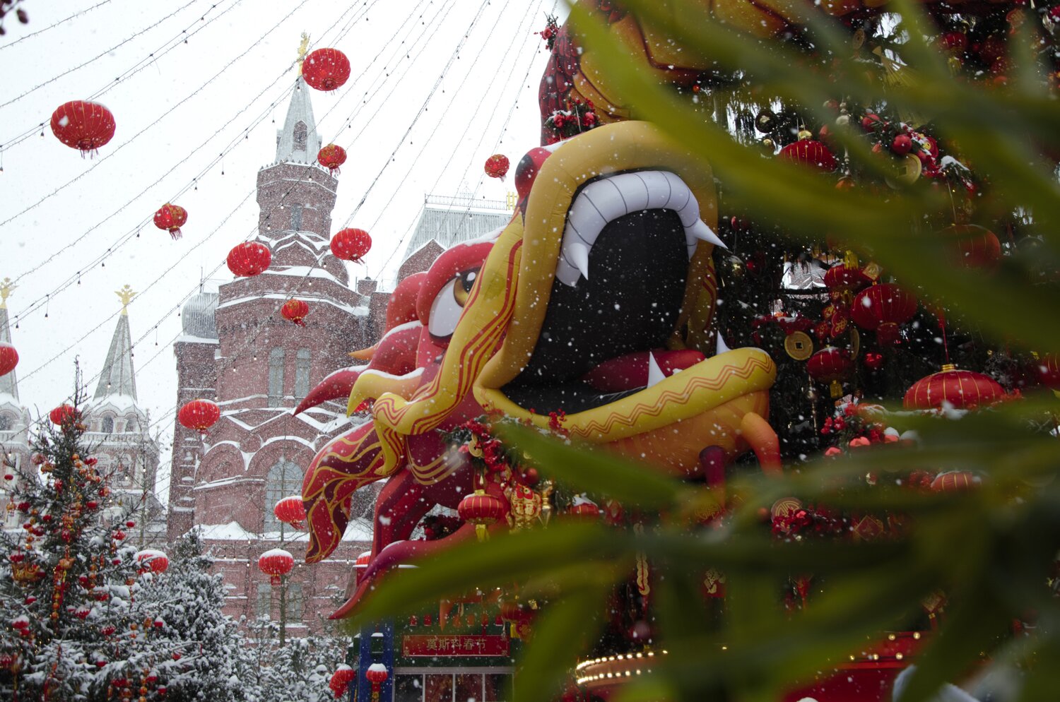Photo #14046218