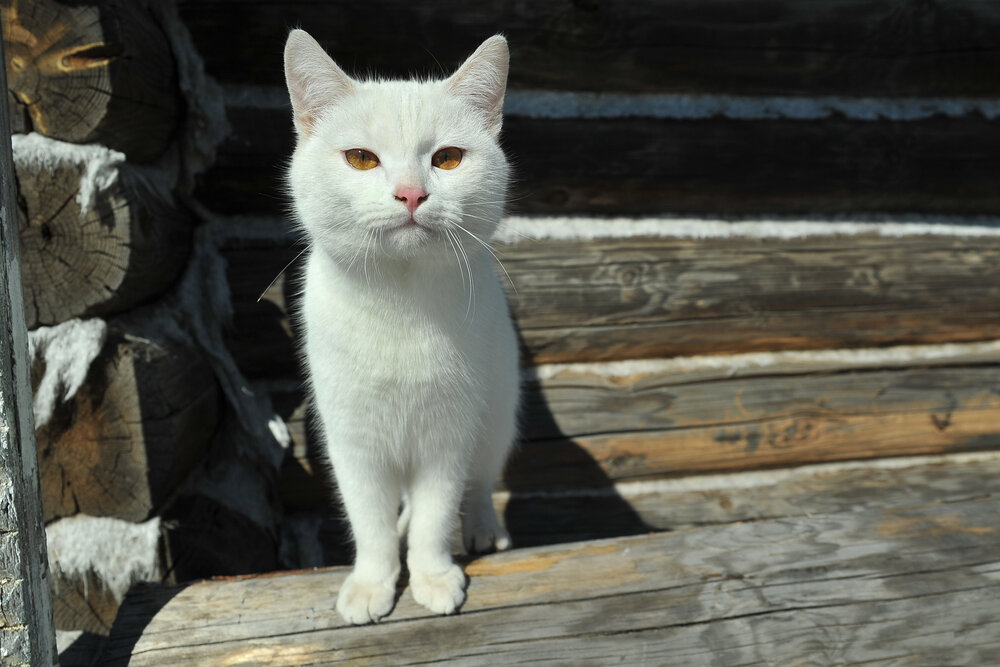 Photograph by Cергей Абакумов