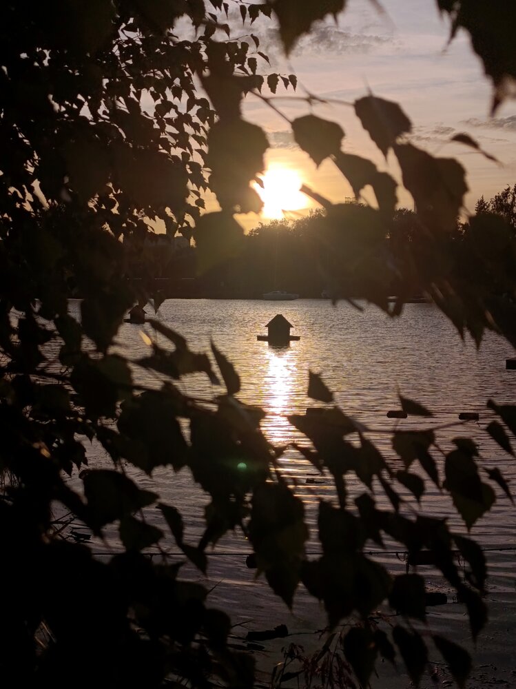 Photograph by Алена Марченко