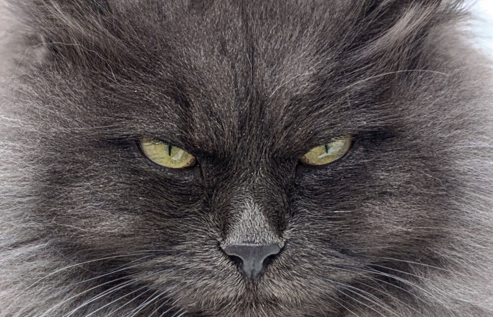 Photograph by Мария Самолевич