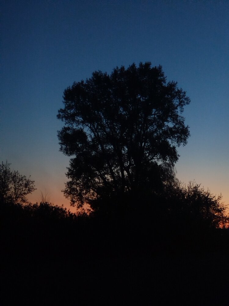 Photograph by Дубровина Марина