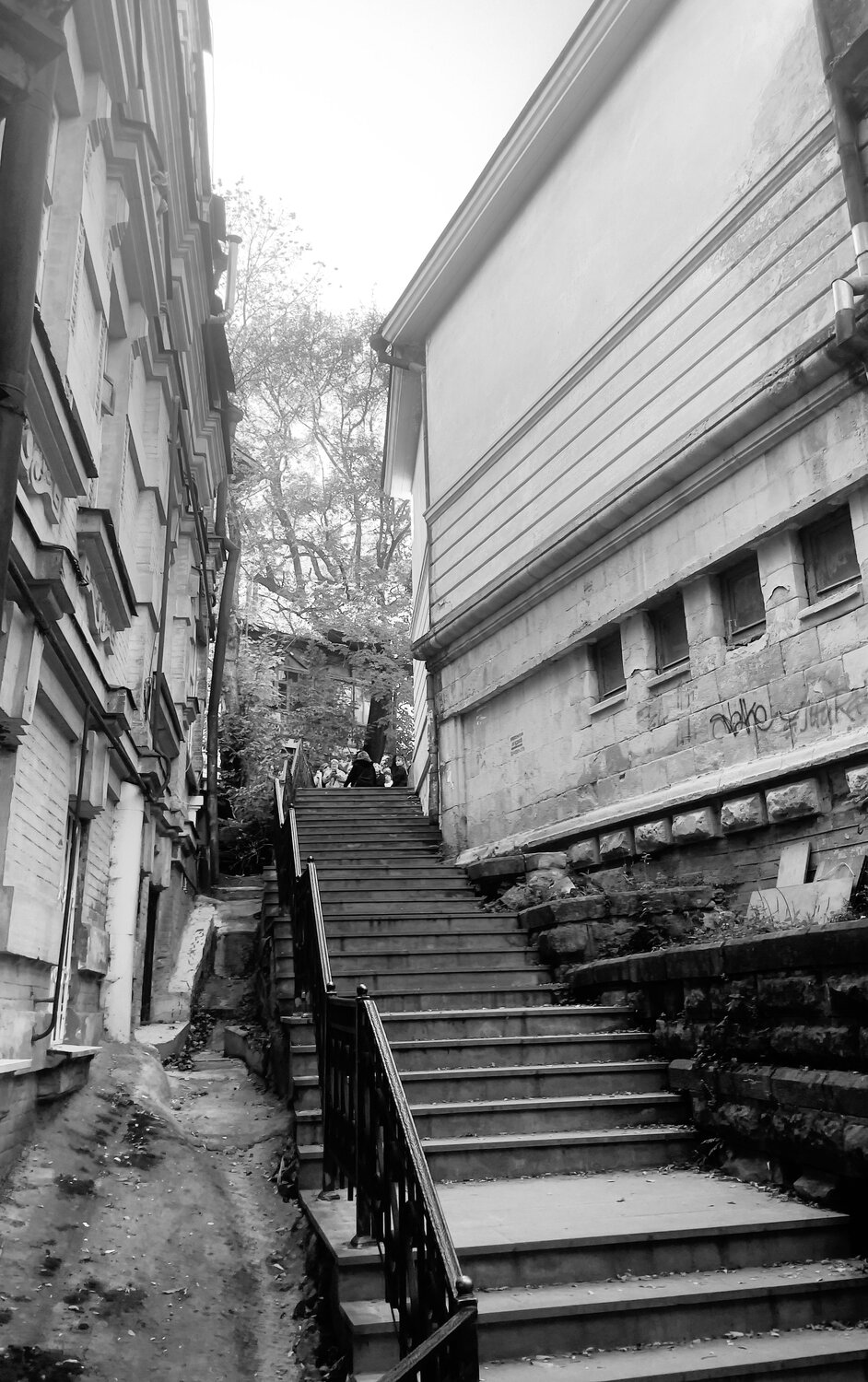 Photo #14046356