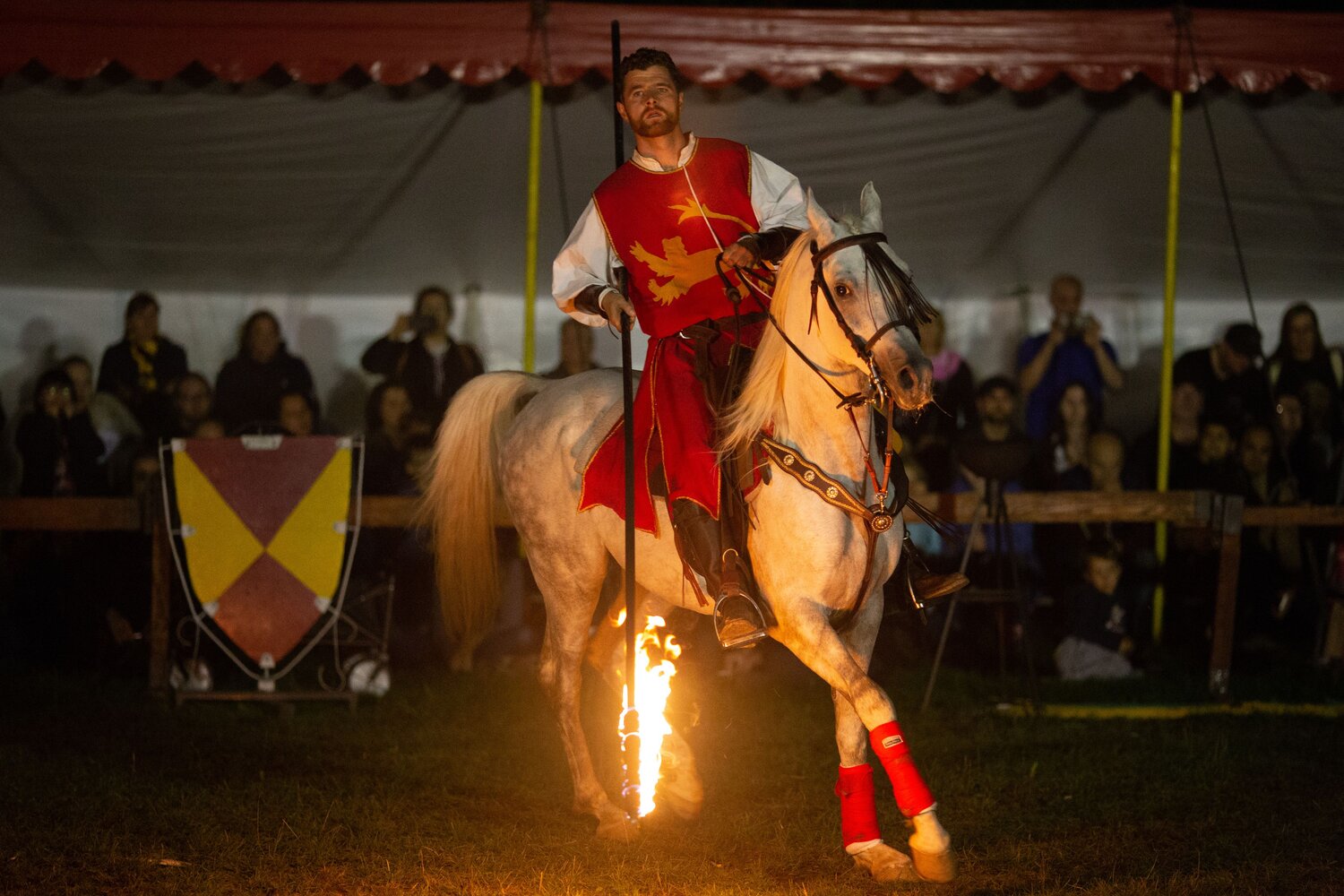 Photo #14046370